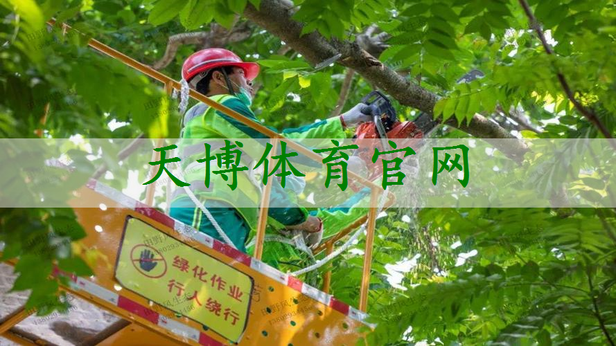 沅江做市政绿化赚钱吗